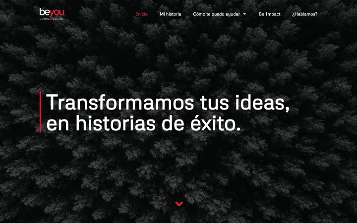 be you — consultora de comunicación — marca + web